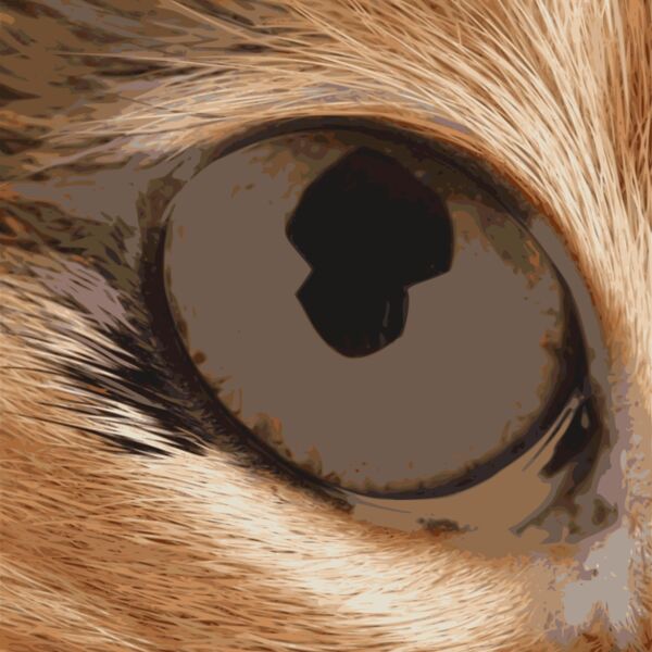 macskaszem2 Thumbnail