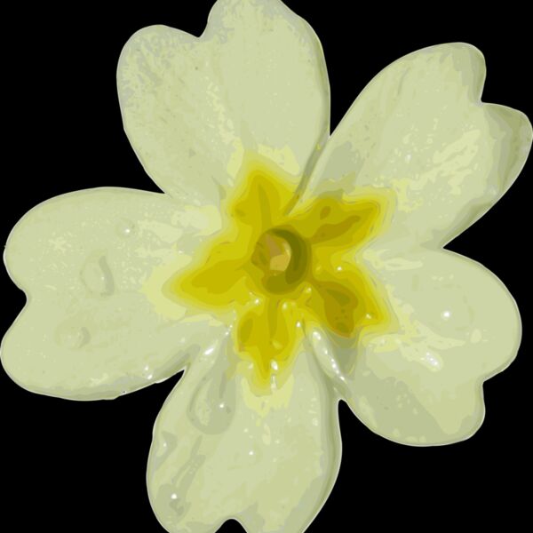 yves guillou flower 10 Thumbnail