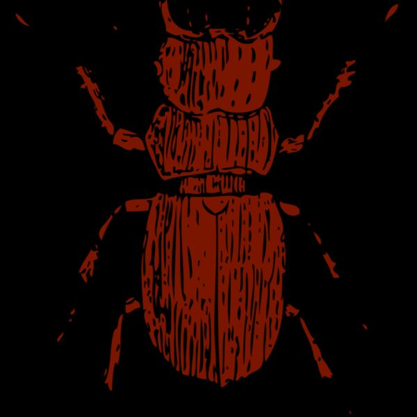 johnny automatic stag beetle Thumbnail