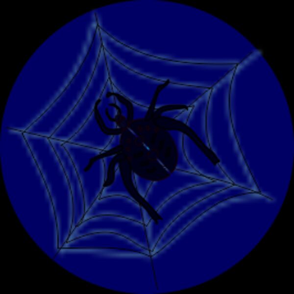 spider on web Thumbnail