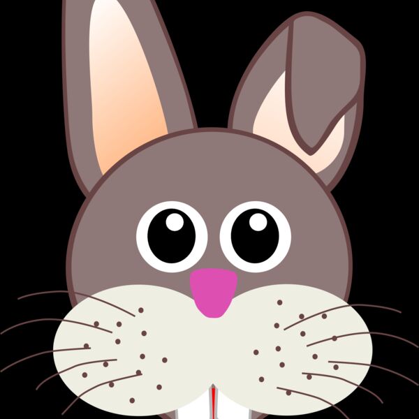 Rabbit 001 Face Cartoon Thumbnail