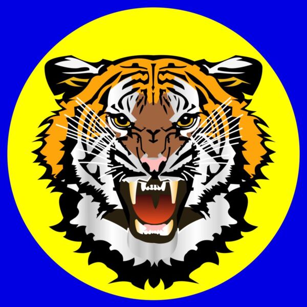 TiferYellowOnBlue Thumbnail