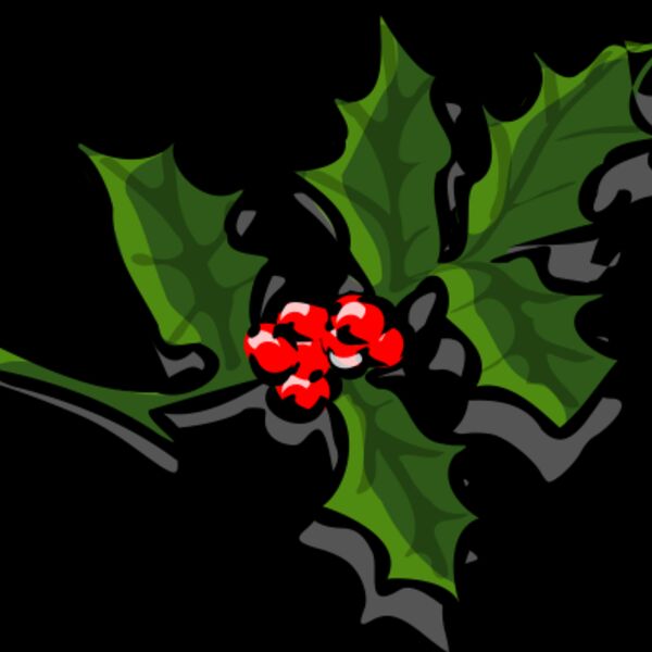 TheresaKnott Holly 2 Thumbnail