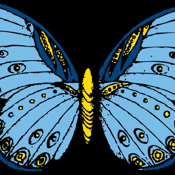 johnny automatic butterfly 1 Thumbnail