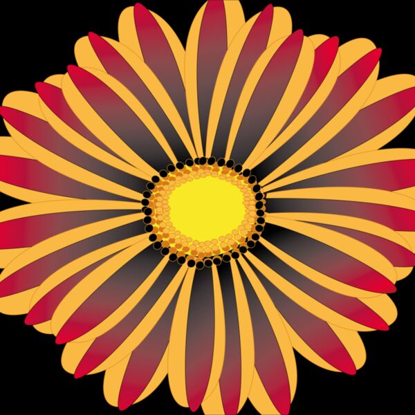 1377526057  2  Thumbnail