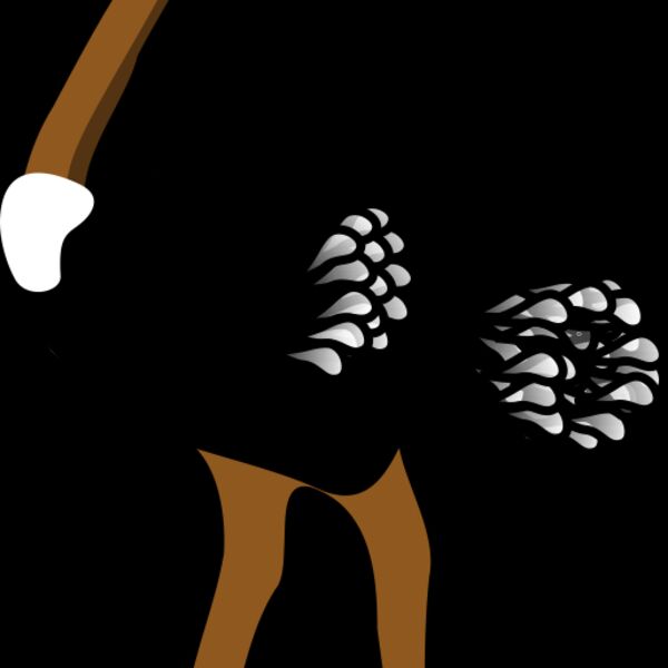 rpzboray ostrich Thumbnail