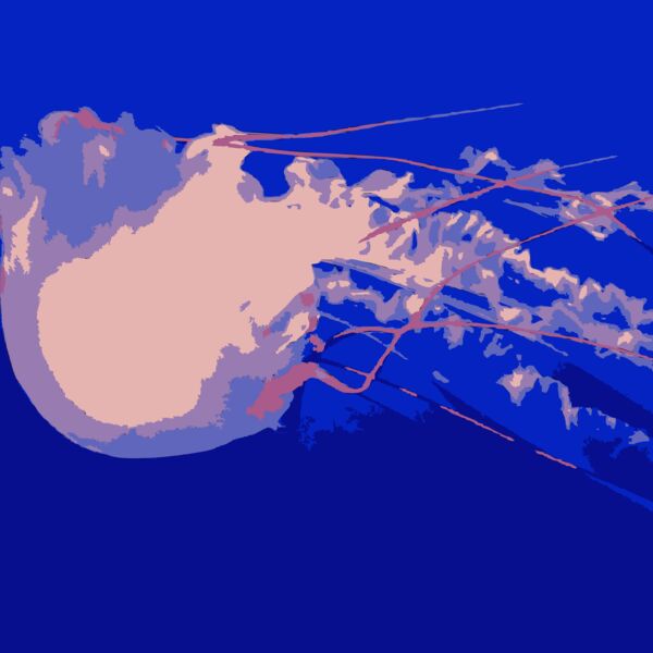 Jellyfish 02 Thumbnail