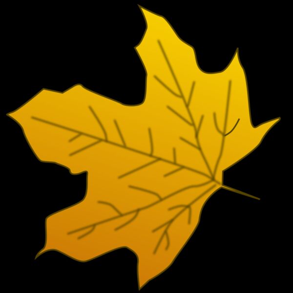 Leaf 3 Thumbnail