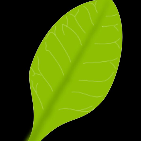 leaf daun Thumbnail