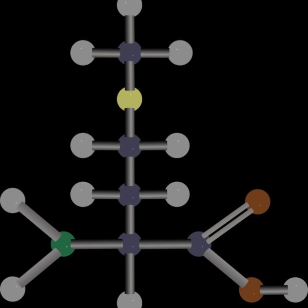 methionine Thumbnail