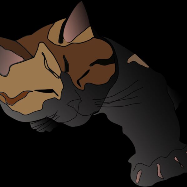 missiridia Sleepy Calico Cat Thumbnail