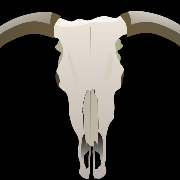 longhorn skull Thumbnail
