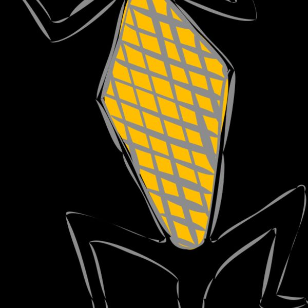 lucertola architetto fr 03r Thumbnail