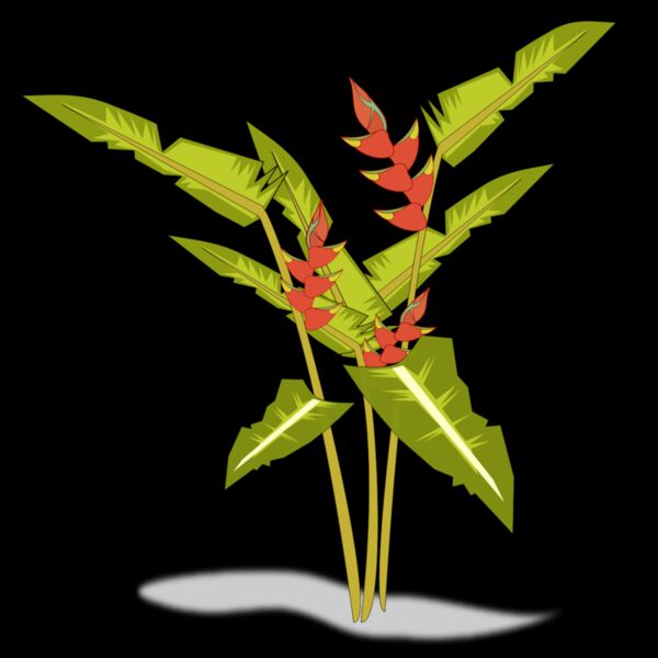 heliconia 02 Thumbnail