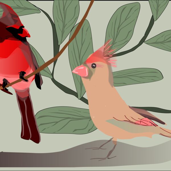 88dd96  2  Thumbnail