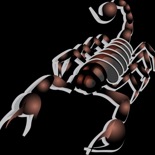 Anonymous Scorpion  2  Thumbnail