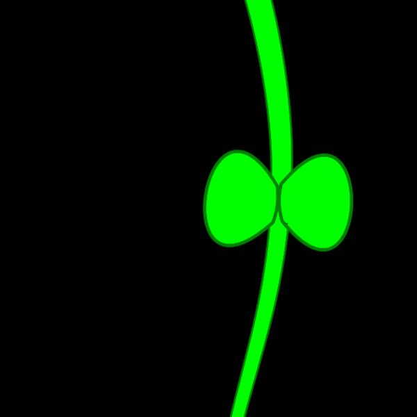 1314157420  2  Thumbnail