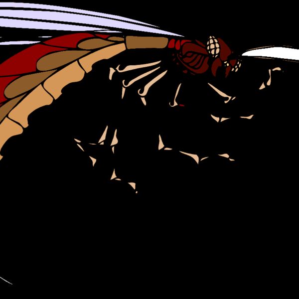 insetto architetto fran 03r Thumbnail