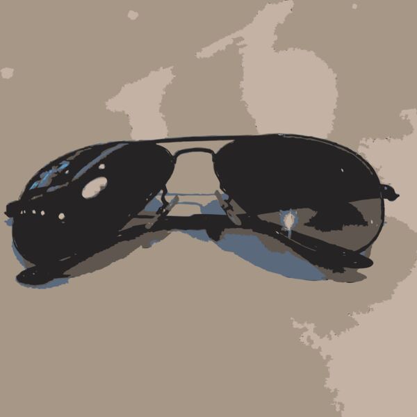 Sunglasses from another angle Thumbnail