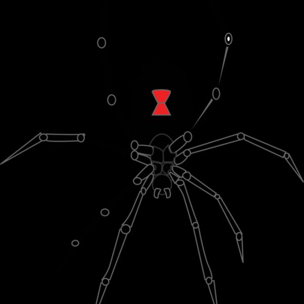 black widow spider Thumbnail