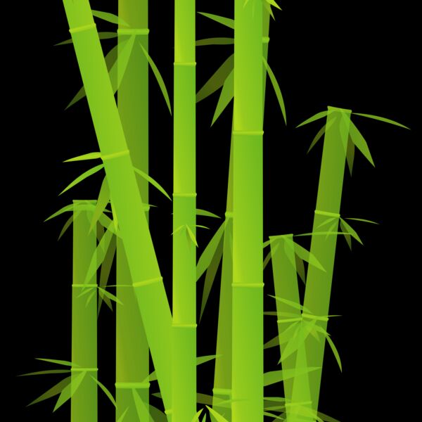 1344790645  2  Thumbnail