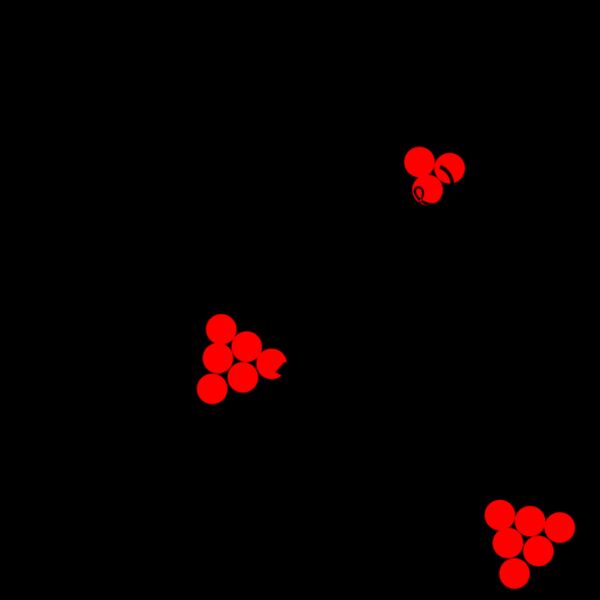 Berries and leaves Thumbnail