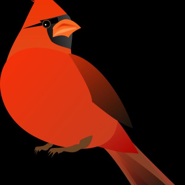 redcardinal Thumbnail