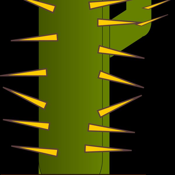 zesarvictoria cactus 1 Thumbnail