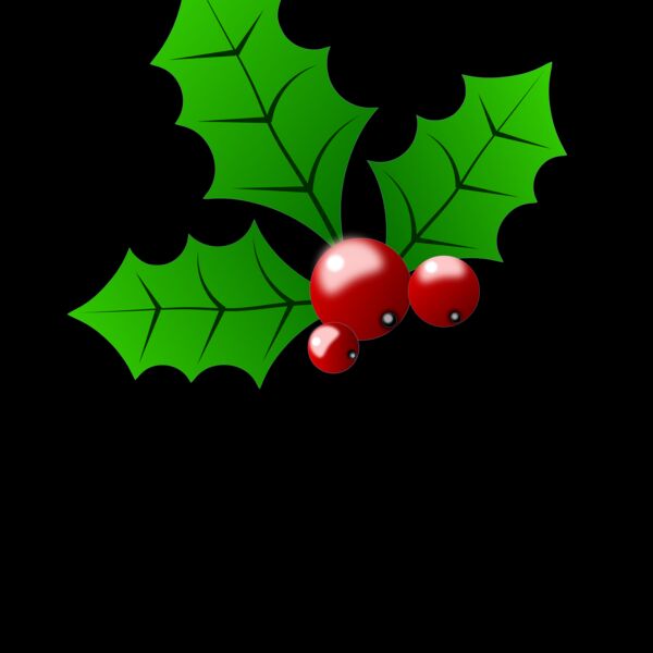 holly berries Thumbnail