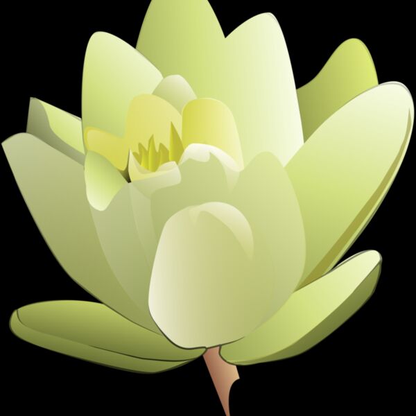 leland mcinnes Water Lily Thumbnail