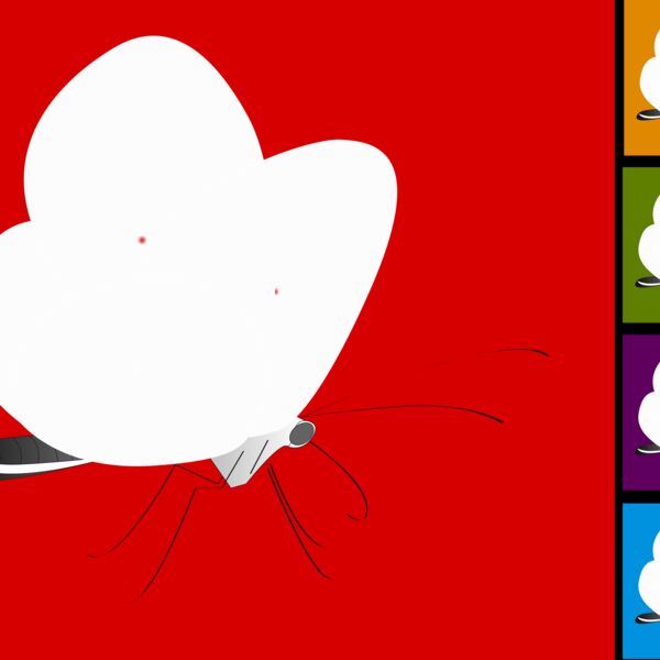 colourful butterflies Thumbnail