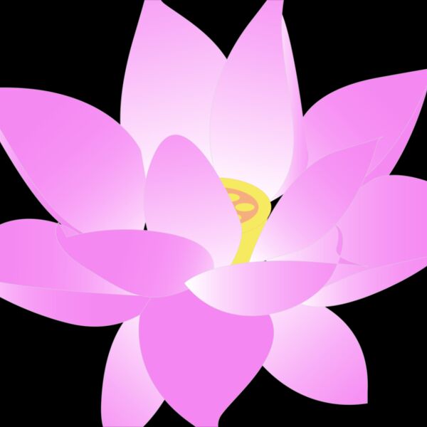 lotus fleur Thumbnail