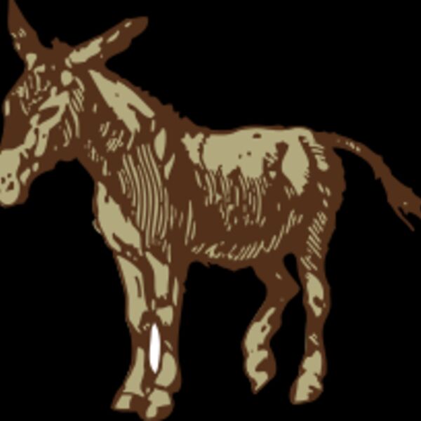 johnny automatic donkey 1 Thumbnail