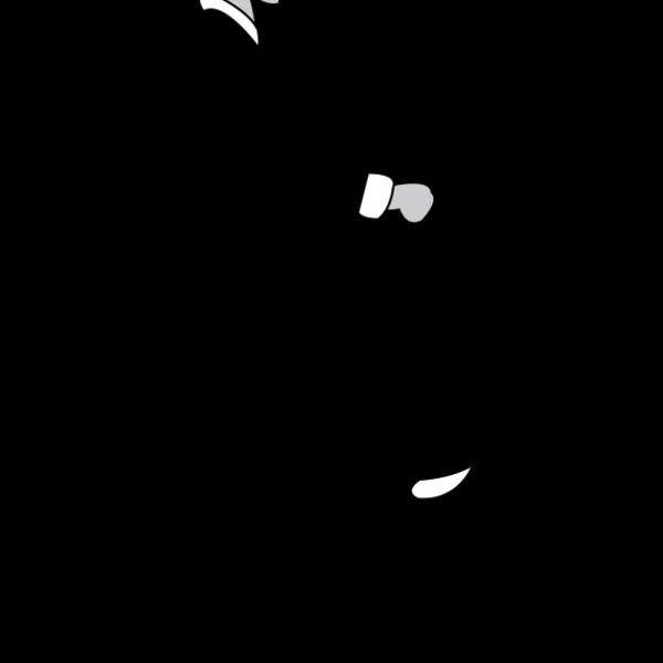 Antique Bicycle Thumbnail