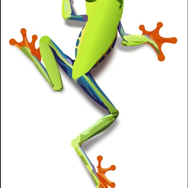 treefrog 1 Thumbnail