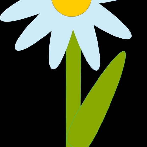 Machovka marguerite Thumbnail