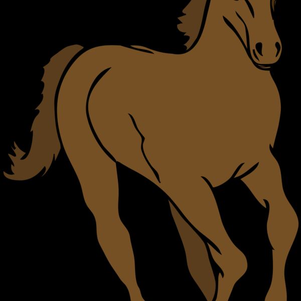 Anonymous Architetto    Cavallo 20 Thumbnail