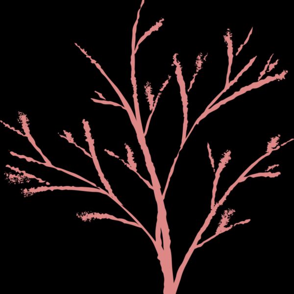 Jenny Arder Tree Thumbnail