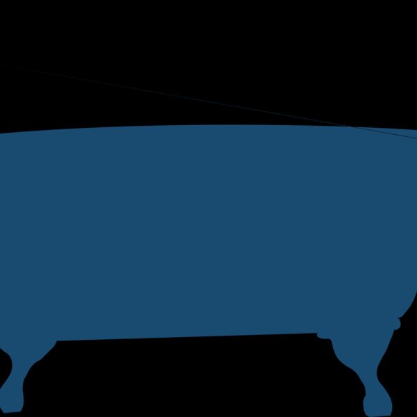 bathtub silhouette  2  Thumbnail