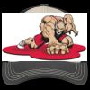 Tri Tone Mesh Back Cap Thumbnail