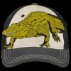 Tri Tone Mesh Back Cap Thumbnail