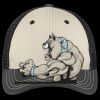 Tri Tone Mesh Back Cap Thumbnail