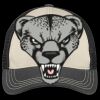 Tri Tone Mesh Back Cap Thumbnail
