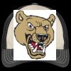 Tri Tone Mesh Back Cap Thumbnail