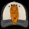 Tri Tone Mesh Back Cap Thumbnail
