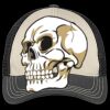 Tri Tone Mesh Back Cap Thumbnail
