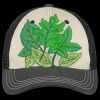 Tri Tone Mesh Back Cap Thumbnail