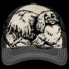 Tri Tone Mesh Back Cap Thumbnail