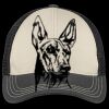 Tri Tone Mesh Back Cap Thumbnail
