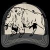 Tri Tone Mesh Back Cap Thumbnail